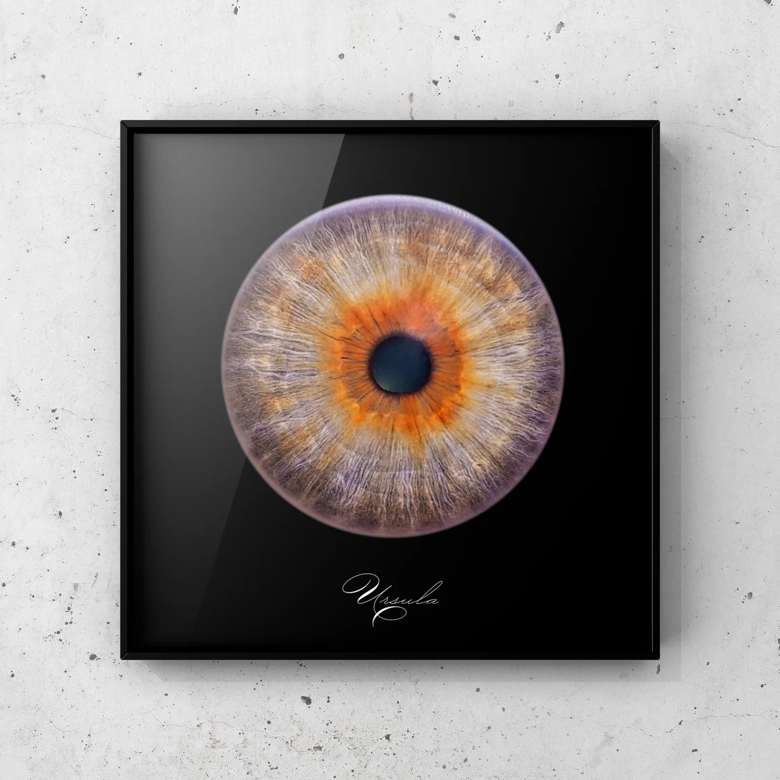 Iris Fotografie