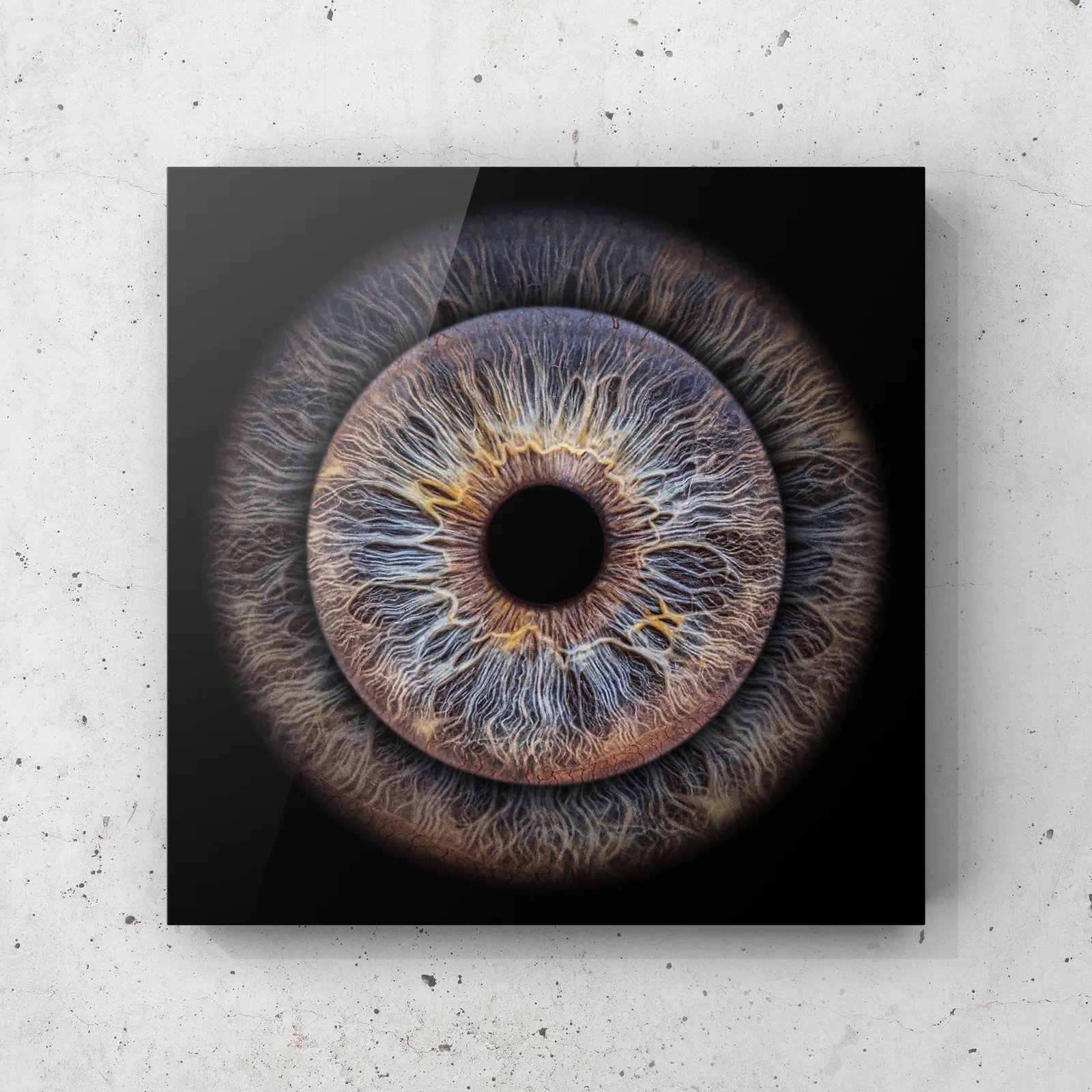 Iris Fotografie