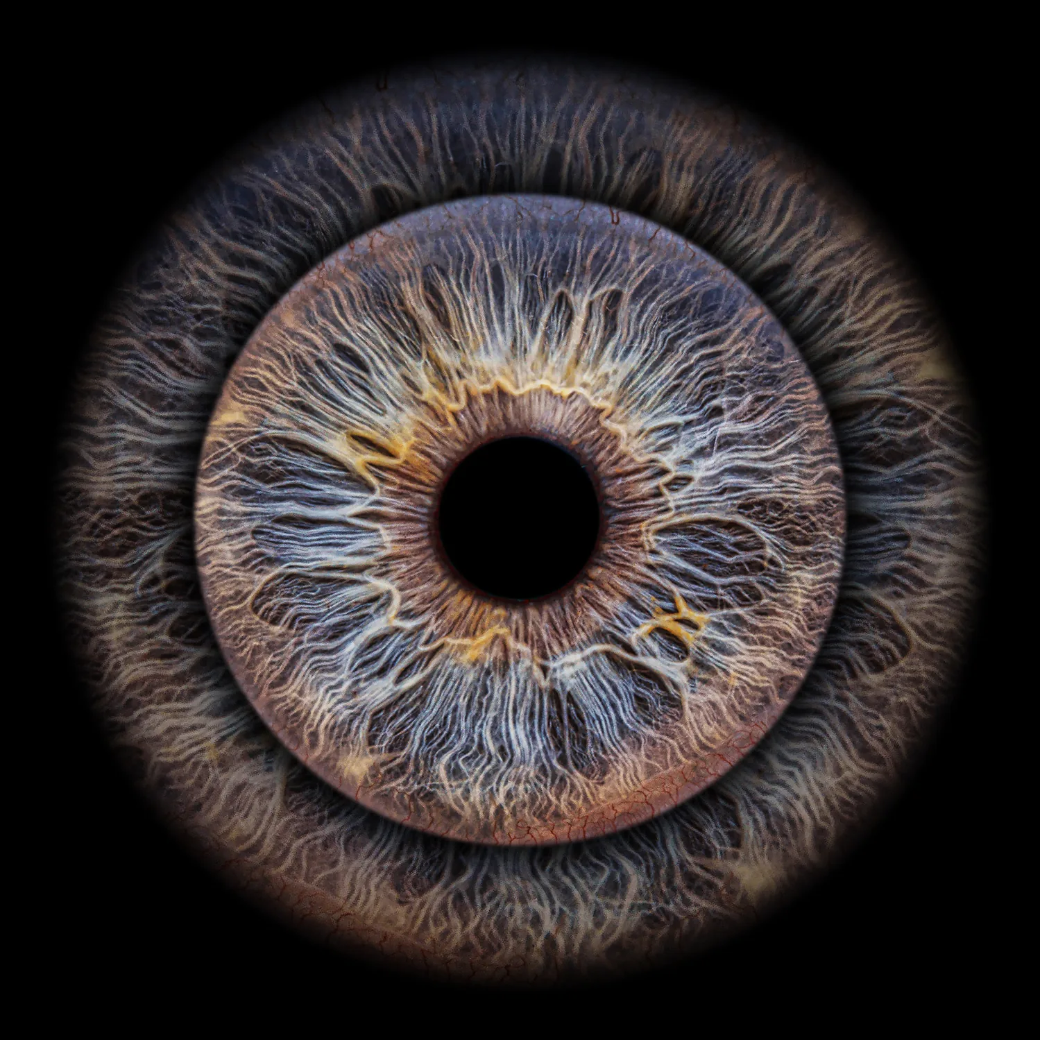 Iris Fotografie